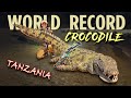Bowhunting the worlds largest crocodile  sarah bowmars world record 