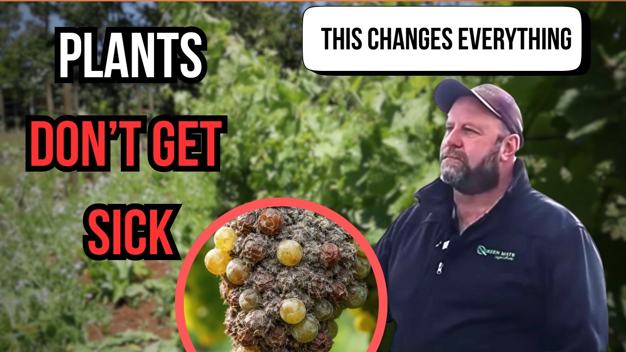 The “Theory of Everything” Behind Plant Disease