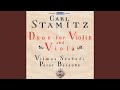 Miniature de la vidéo de la chanson Flute Sonata In F Major: Ii. Allegro
