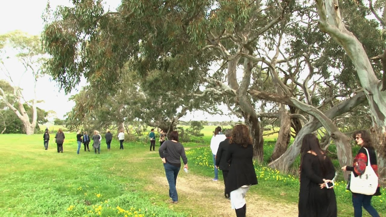 Diversity & Inclusion Series ~ Aboriginal Awareness Training