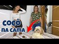 MEU CACHORRO FEZ COCÔ NA CAMA DA MINHA MÃE