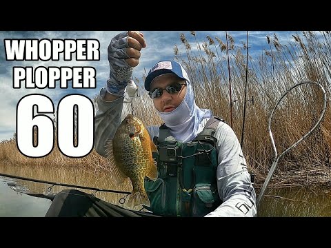 Whopper Plopper 60 Blowups 