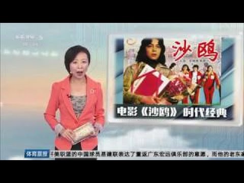 国产经典老电影 《沙鸥》 1981