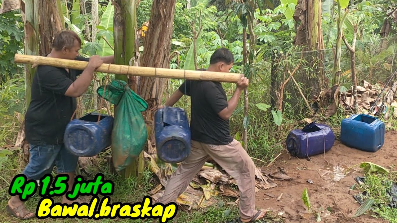 EDYAAN..!! Mancing apa garong ikan ini