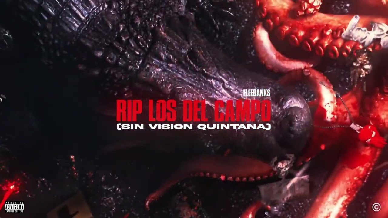SIN VISIÓN QUINTANA (RIP LOS DEL CAMPO) 