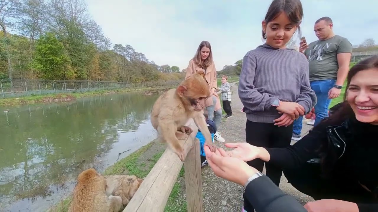 Monkey and Bird Park