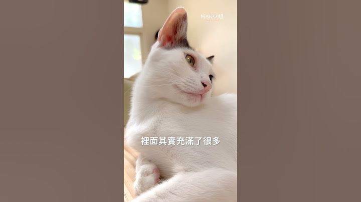 蚊香會讓貓咪中毒🤮  #cat #貓咪日常 #貓咪 #養貓要知道
