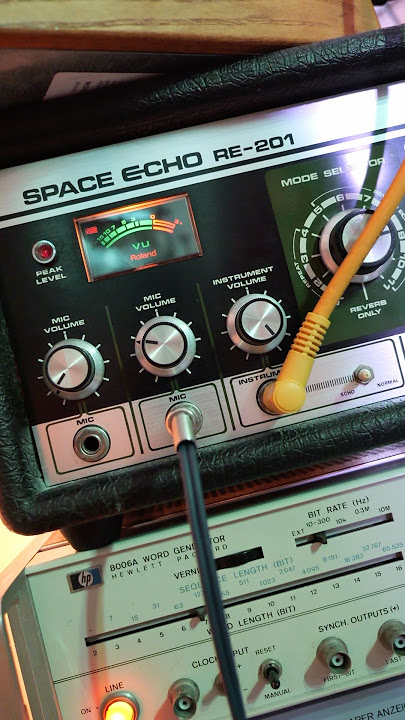Roland Space Echo ❤️