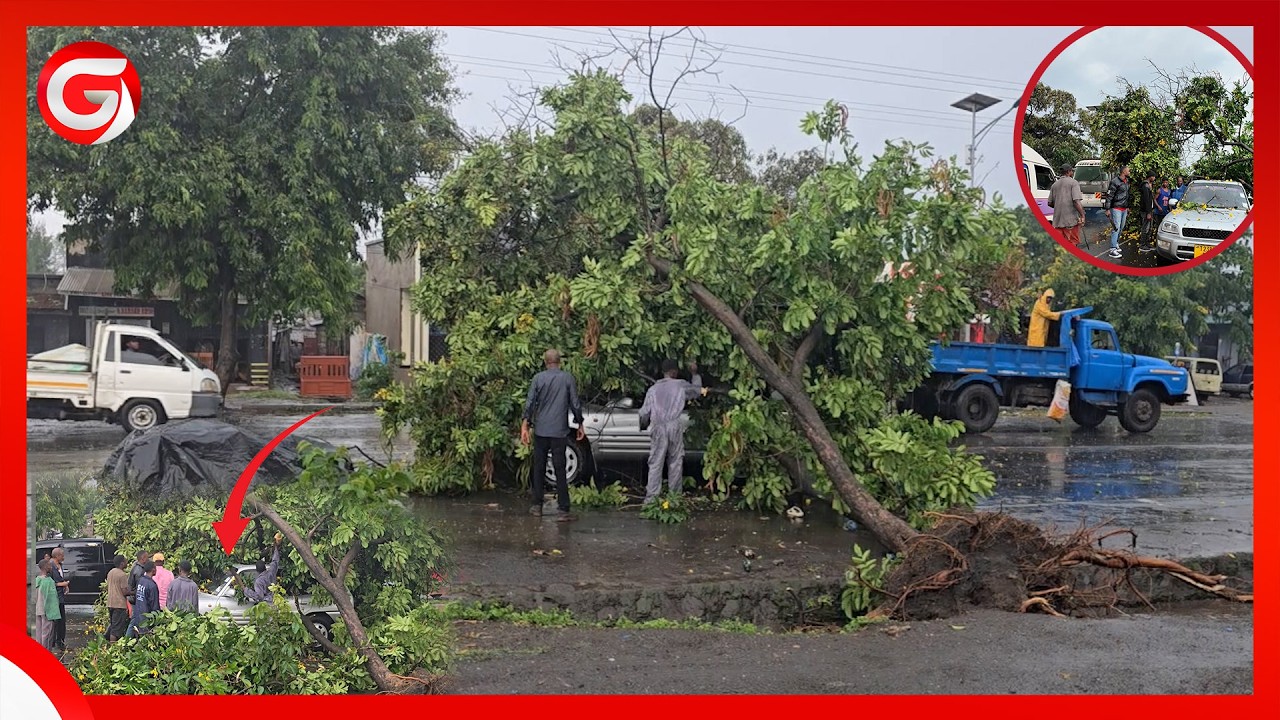TAHARUKI! GARI LAANGUKIWA na MTI LIKIWA BARABARANI ARUSHA - CHANZO MVUA na UPEPO MKALI