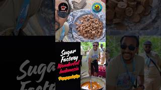 Sugar Factory Indonesia: Sugar from sap of coconut tree #wonderfulindonesia #foodindonesia