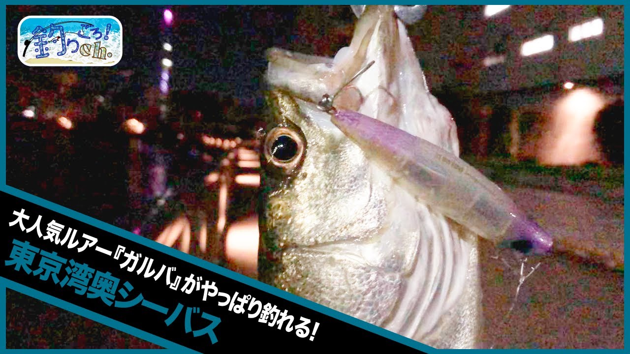 大人気ルアー ガルバ がやっぱり釣れる 東京湾奥シーバス Youtube