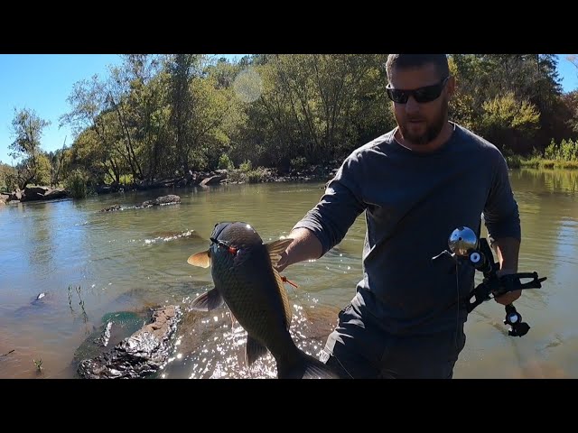 Bowfishing with the Ballista Bat Pistol Crossbow150lb limbs