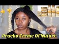 PROBANDO productos de CREME OF NATURE PURE HONEY 🍯 || Día de Lavado || Rihanel