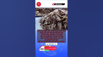 Phở Nam Định vừa có tên trong danh mục di sản văn hóa phi vật thể quốc gia #shorts #drm #drmchannel