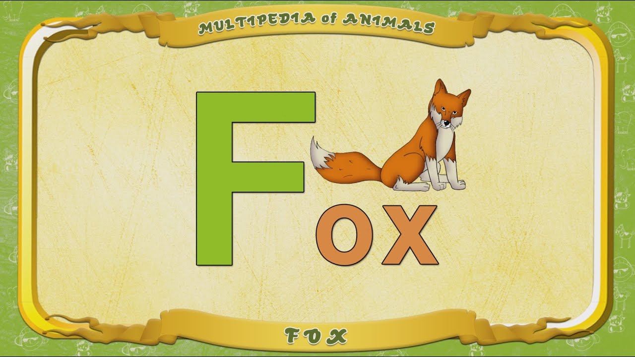 multipedia of animals letter f fox youtube animals with the letter f
