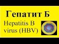ГЕПАТИТ Б. Вирусный гепатит Б.