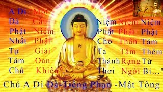 Thần Chú A Di Đà - Buddha Amitabha -Tiếng Phạn - Mật Tông  -Nghe tâm thêm từ bi-tâm thêm rạng ngời