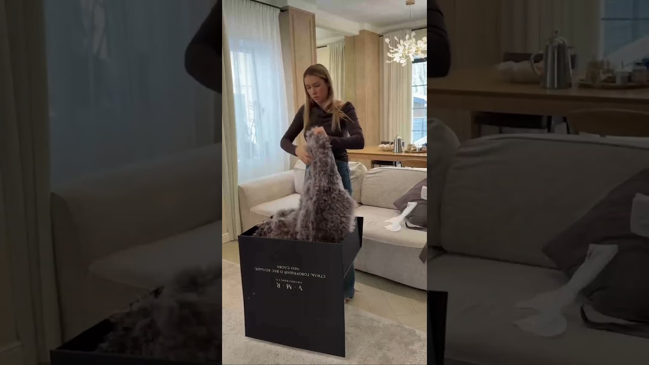 Чем порадовал — тем и ответили | VIKTORIA MORETTI