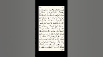 الورد اليومي: 4 صفحات (181-182-183-184) لتجنب هجر القرآن | تذكير يومي مستمر #قرآن #تلاوة