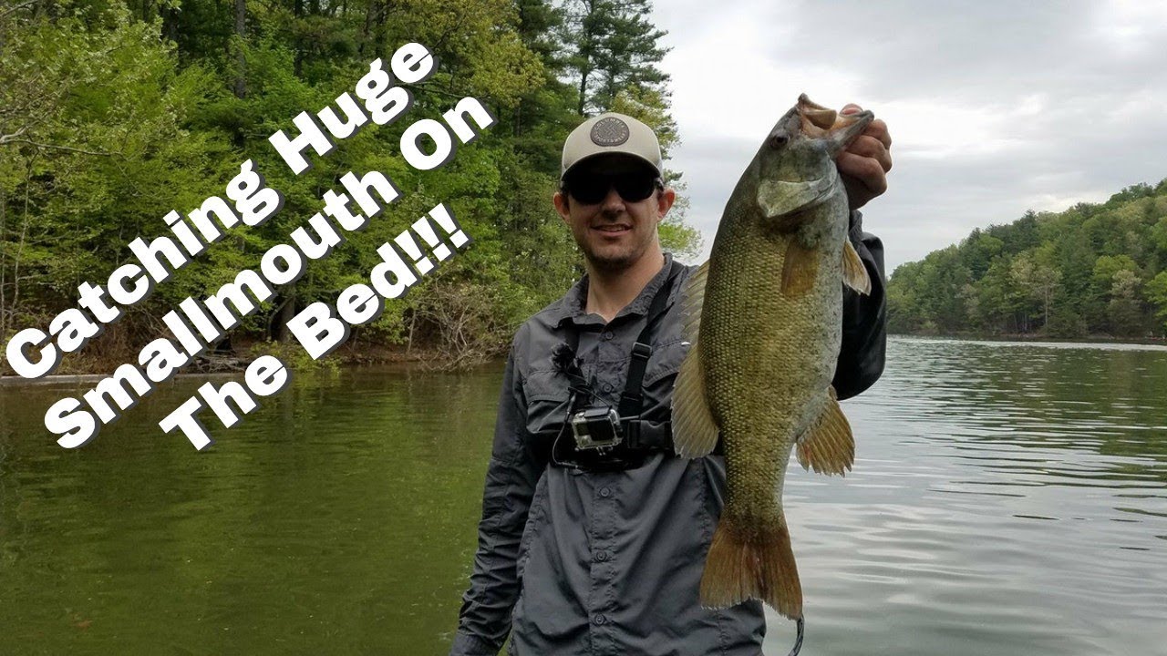 How To Catch HUGE Smallmouth On The Bed!!!