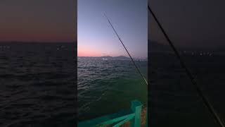 Βραδινό ψάρεματακι 🐠 #fishing #psarema #ψάρεμα #ψαρεμα #new #fyp #fy #viral #fish #hobby #greek #top