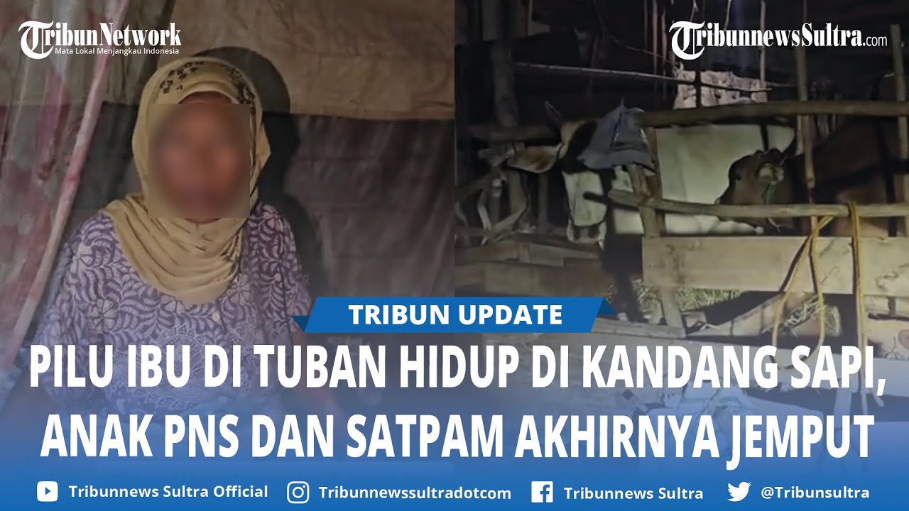 PILU Ramisih Ibu di Tuban Tinggal di Kandang Sapi Campur Kambing Milik Warga Padahal Anaknya PNS