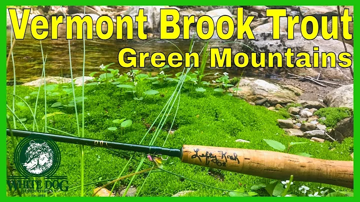 Vermont Brook Trout Fly Fishing with the TFO Lefty...