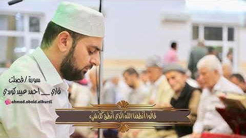 احمد عبيد الكوردى - سورة فصلت
