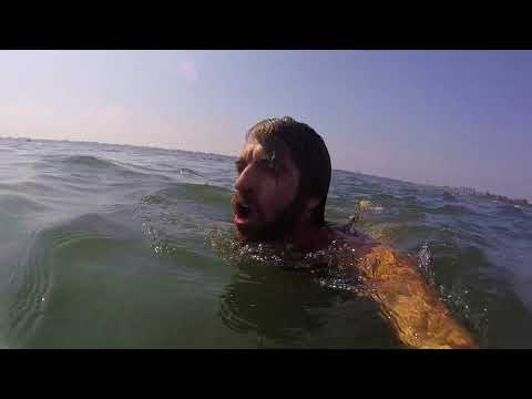 Swiming In The Hudson