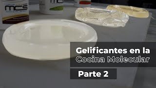 Los 6 gelificantes vegetales en la cocina de vanguardia (Parte 2)