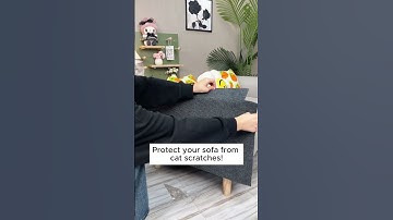 Protect Your Sofa from Cat Scratches – The Ultimate Guide!  #cat #couch #pets