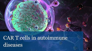 CAR T cells in autoimmune diseases | Georg Schett, Andreas Mackensen