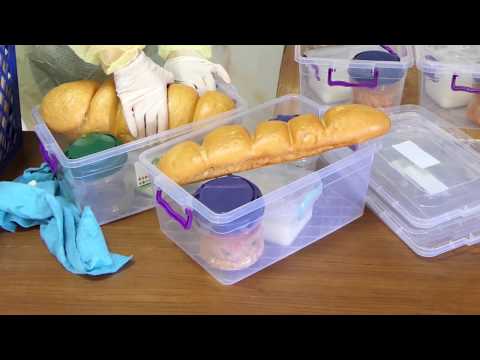 ფოთში Covid -19-ის პრევენციის ღონისძიებებში მოხალისეები ჩაერთვნენ 23 03 20