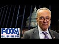 ‘SCHUMER’S SHUTDOWN’: GOP rep explains how this will backfire on Democrats
