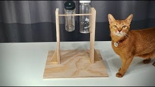 In this video i will show you how to make a fun feeder. the food only
spill out from bottle after your pet learn turn it by paw or nose.
it's big fun...