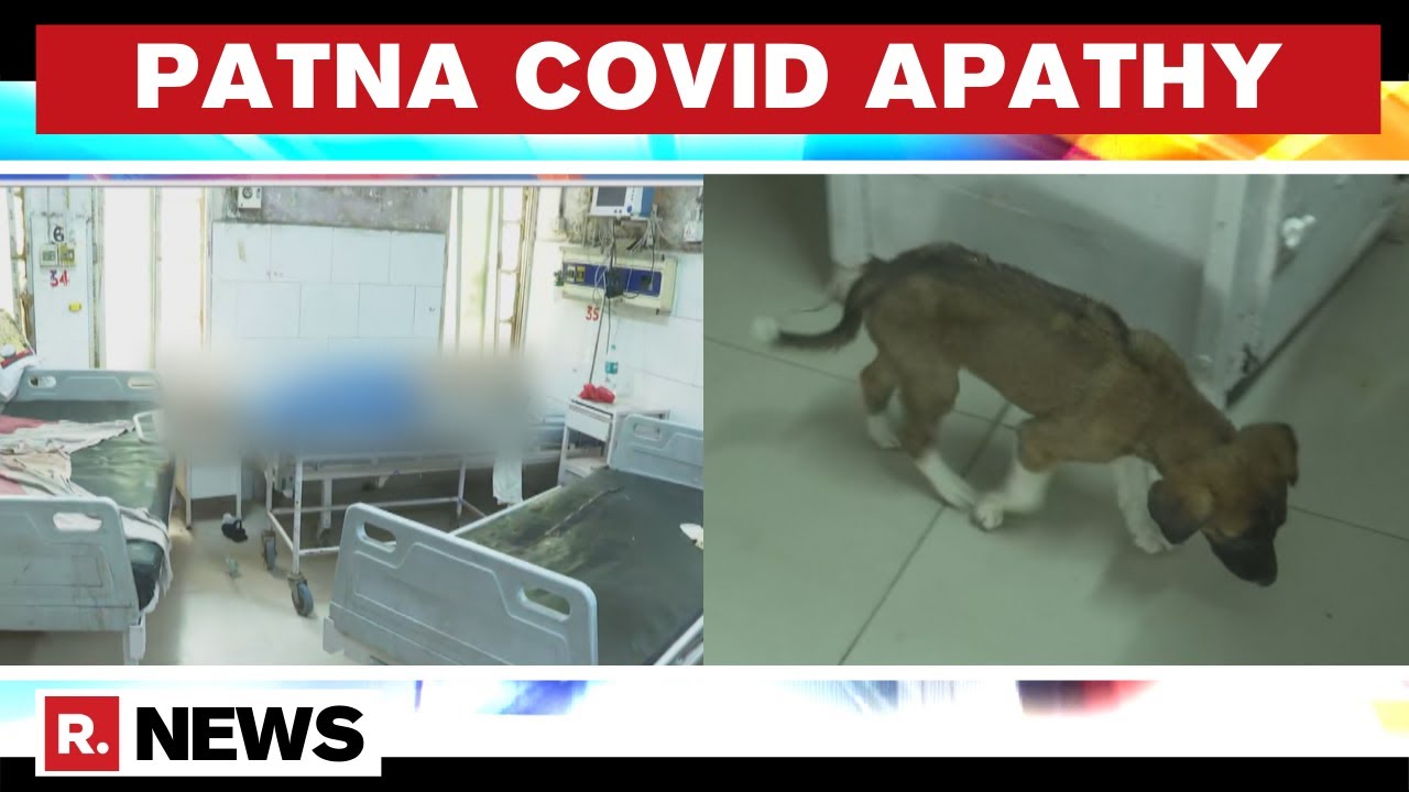 Patna: COVID Patients Being Treated At General Ward, Stray Dogs Spotted Inside Hospital