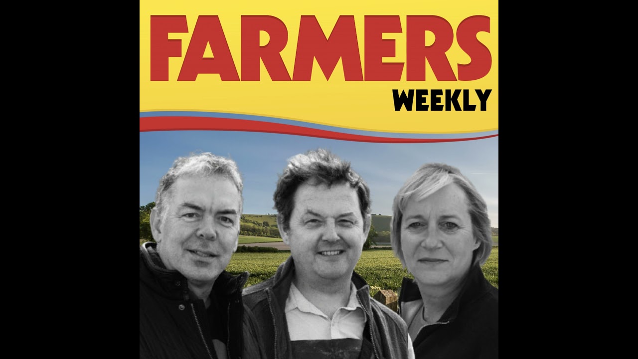 Judge orders review of inheritance tax, beef & dairy licence to farm, cereal yields & YEN future