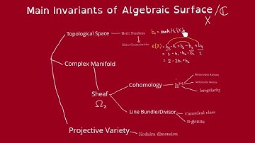 Algebraic Surface, Invariants (part 1) Betti Numbers