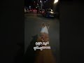 우연히 앞에서 걸어가고있는 엄마를 보고 난리남 #shorts