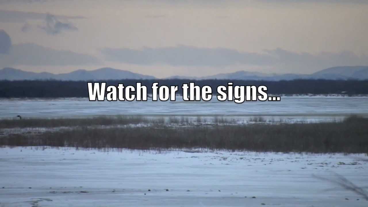 The Raven's Gift - a book trailer