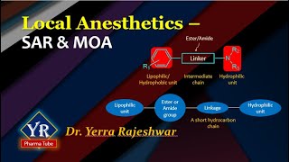 Local Anesthetics - SAR & MOA | SAR of Local Anesthetics | YR Pharma Tube | Dr. Rajeshwar Yerra