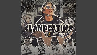 Clandestina - PER Capita