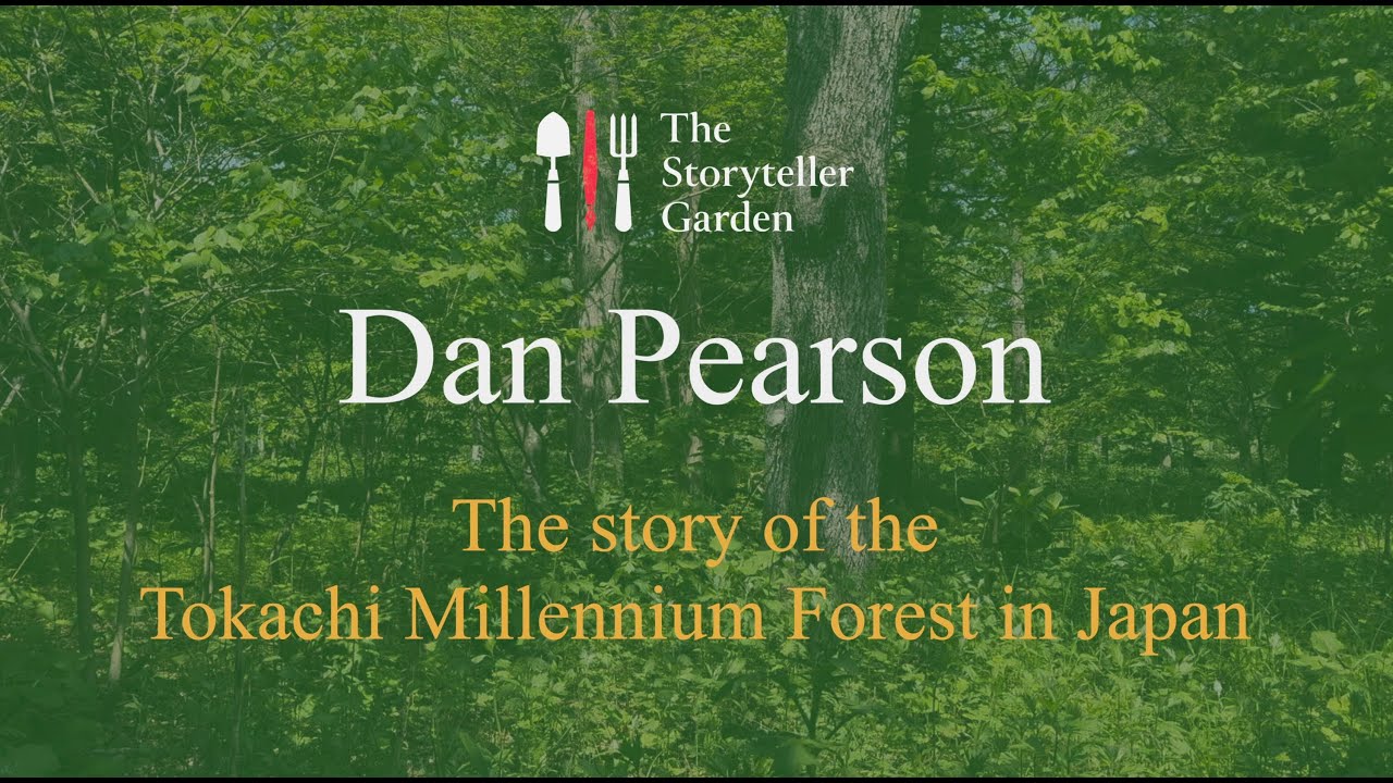 Лес тысячелетия Токачи