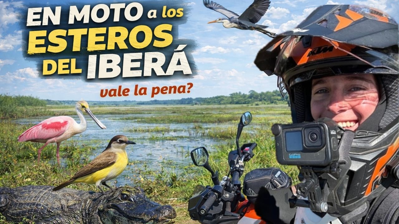SOLA en MOTO en los Esteros del Iberá 🐊🌿 / Portal CAMBYRETÁ
