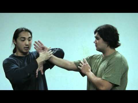 Video Kung Fu Techniques | Wing Chun | Controlling Energy... - youtube