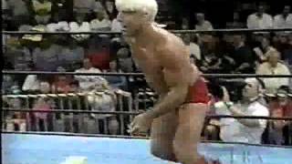 WCW Pro 10/7/95 3/3
