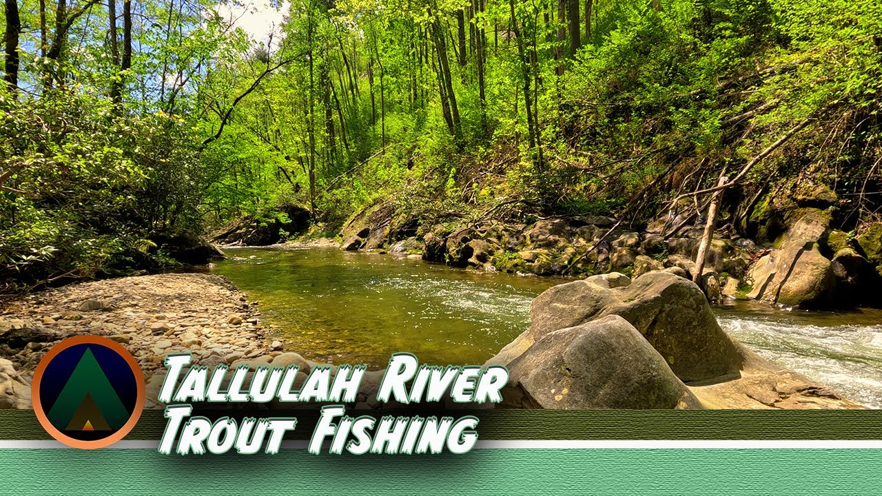 Tallulah River Trout in North Georgia