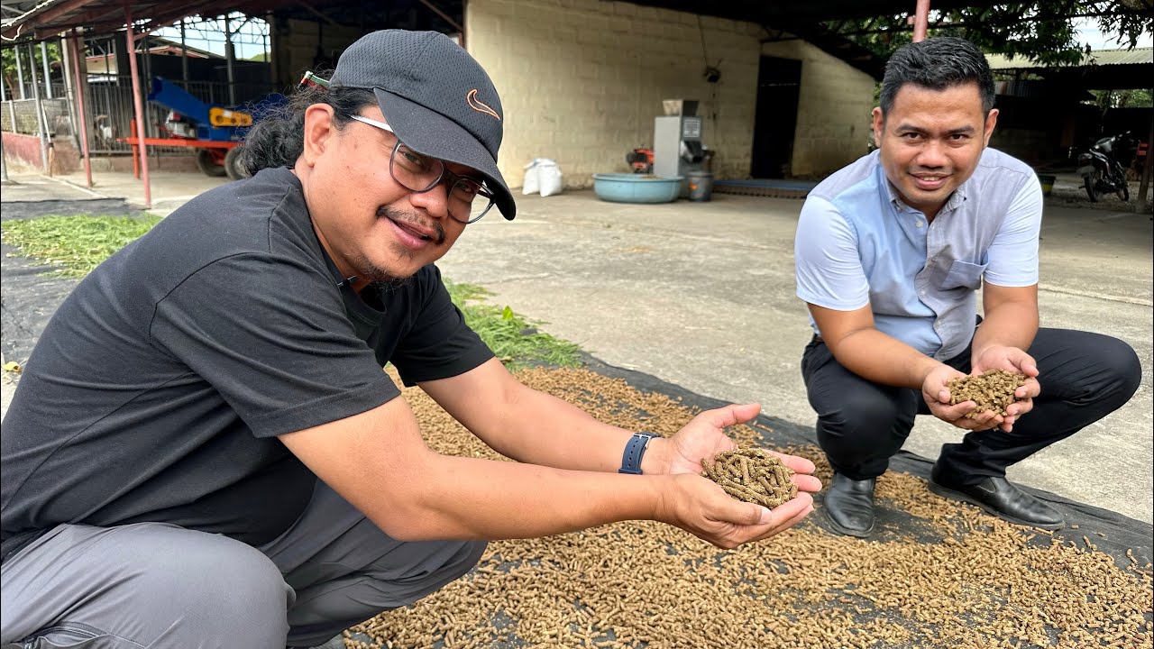 ⁣Legumes like Ipil-ipil leaves, gawin nating alternative Pellet feeds for goats