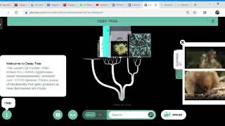 Evolution Lab   NOVA Labs   PBS   Google Chrome 2020 04 13 11 54 49