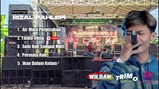 Full Album Dangdut Rizal Palevi Bikin Tetangga Auto Tertidur Pulas ( DA MUSIC Live Menganti Gresik )